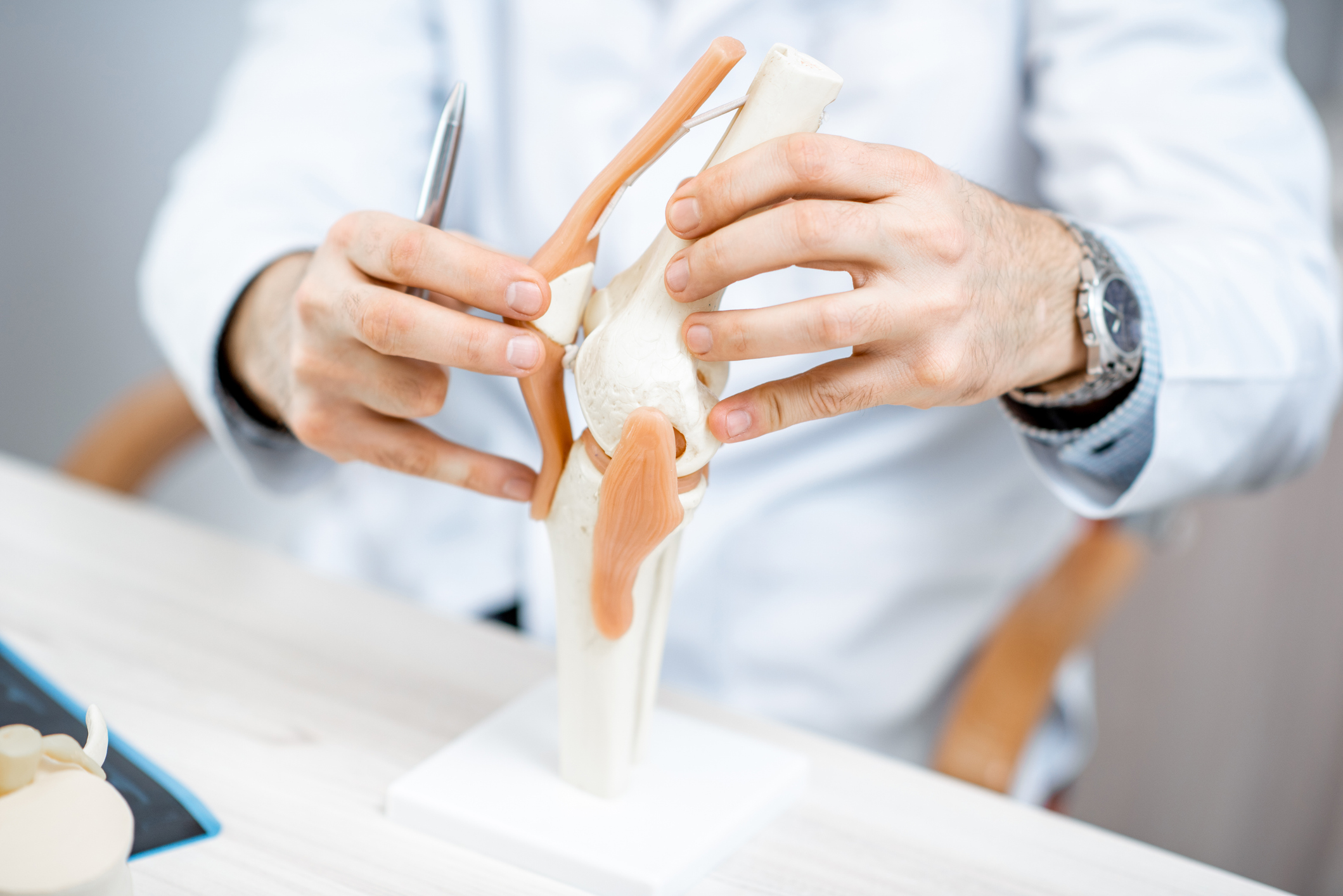 Orthopäde zeigt auf ein Kniegelenk-Modell, um die Struktur und mögliche Behandlungen im Rahmen der ambulanten Orthopädie und Unfallchirurgie zu erklären